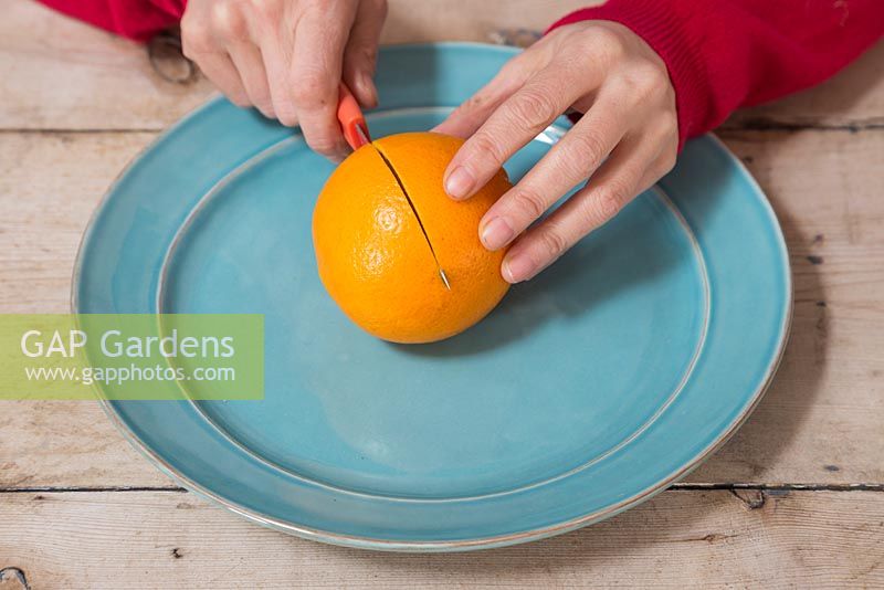 Slice the Orange in half over a plate