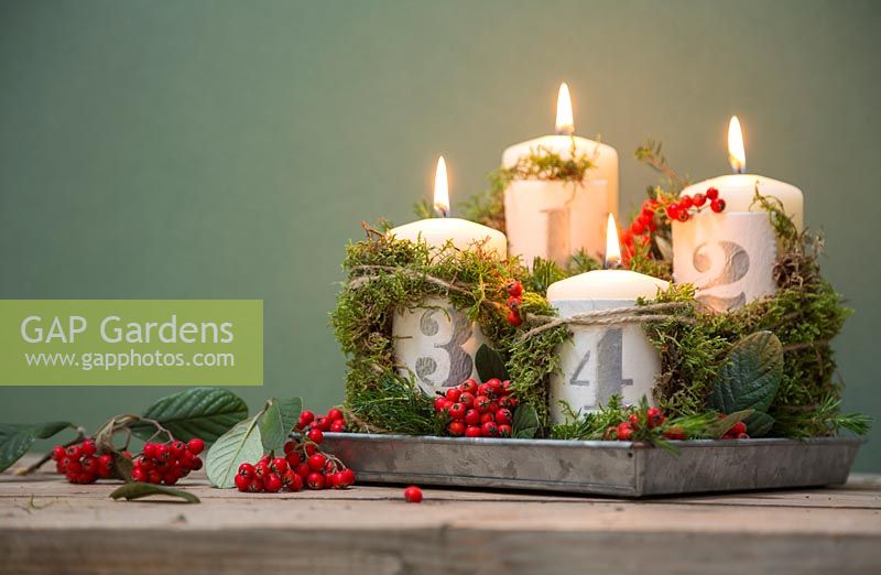 Advent candles with numbered clay plates, Pyracantha and Moss against a green background