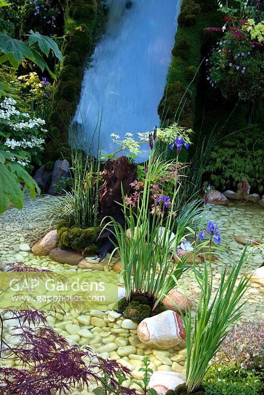 Japanese maples and Irises in Kazahana garden, RHS Chelsea Flower Show 2010, designed by Ishihara Kazuyuki, Silver medal winner