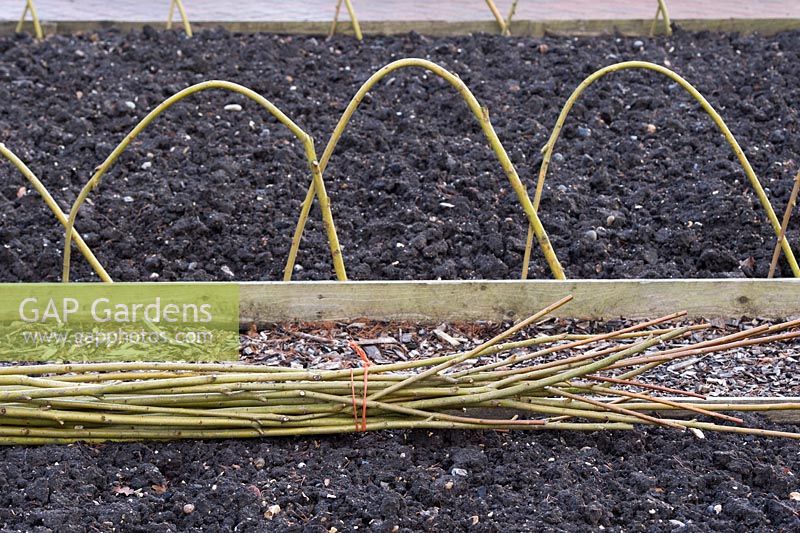 Laying willow sticks around the edge of a vegetable garden - February - Surrey