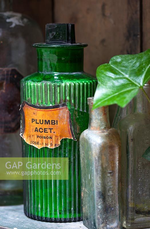 Old medicine bottle on shelf with Hedera helix, Lucille Lewins, small office court yard garden in Chiltern street studios, London. Designed by Adam Woolcott and Jonathan Smith 
