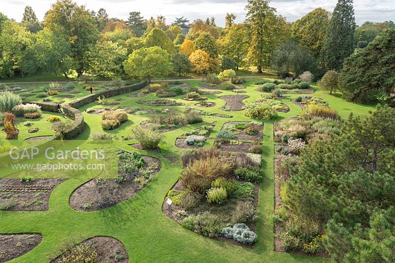 Aerial view of the famous Systematic Beds at Cambridge Botanic Gardens. The plants grouped, according to their families, in attractive irregularly shaped beds in contrast to the more usual rectilinear style used by most botanic gardens.