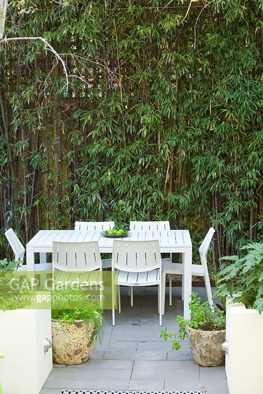 View to lower area of inner city courtyard with small dining area and back fence covered with Phylostachys nigra, black bamboo. Two small rustic pots with herbs in foreground