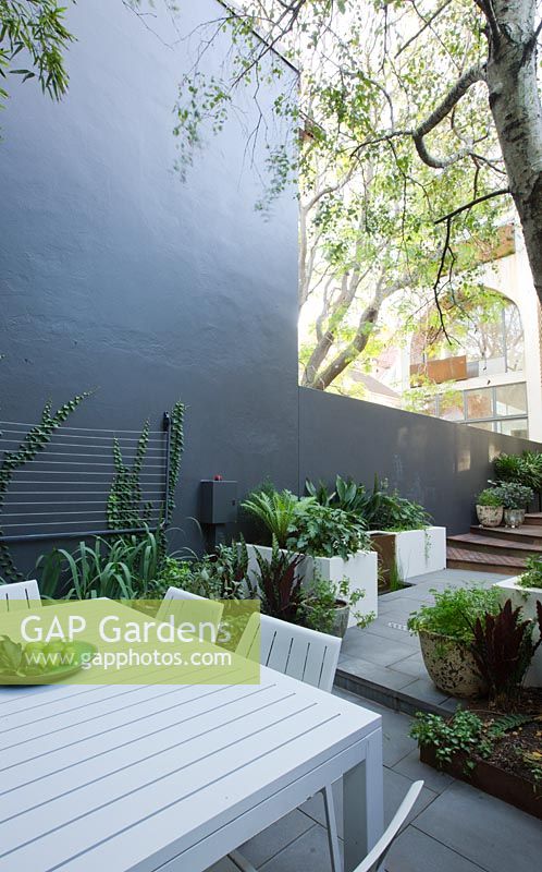 Inner city courtyard with small dining area, concrete planters and pots planted with various shade loving green foliage plants