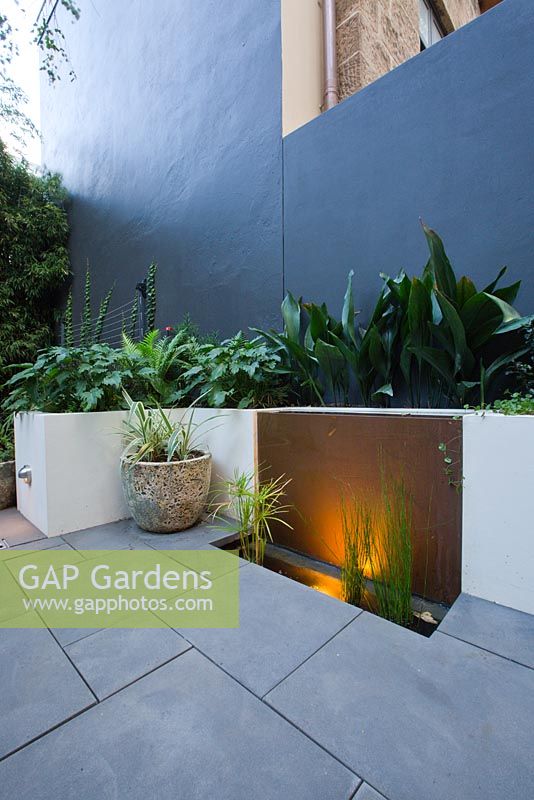 Copper water feature illuminated in inner city modern courtyard garden containing aquatic pond plants. Raised concrete planter features Philodendron 'Xanadu', Blenchnum gibbum 'Silver Lady' and Aspidistra elatior cast iron plant. 