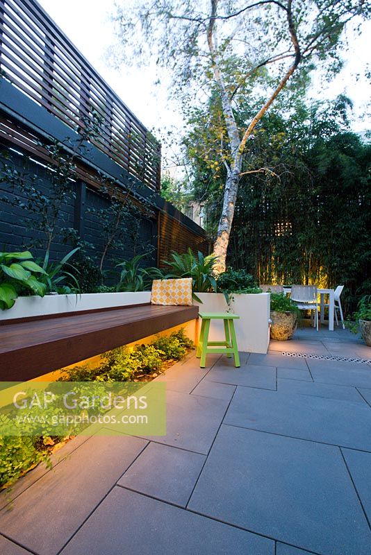Timber bench and raised concrete planter in inner city courtyard garden. Planter contains Philodendron 'Xanadu' and Renga lilies. Camellias along wall. Under bench lighting illuminates maiden hair fern