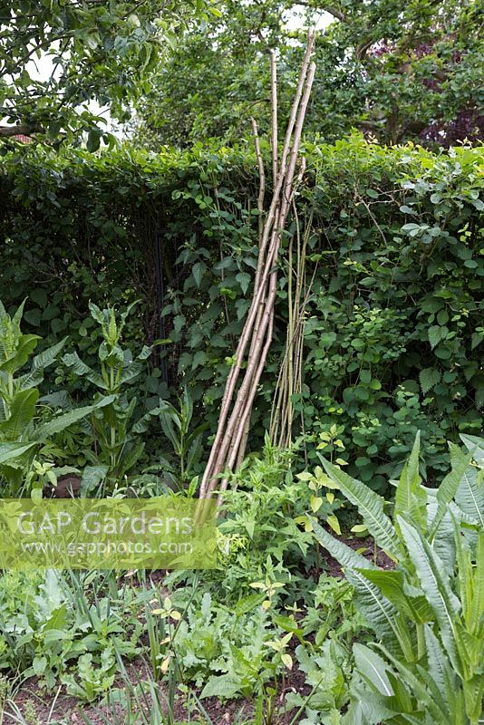 Materials required are Hazel sticks and Willow sticks, which should measure between 8-10 foot in length