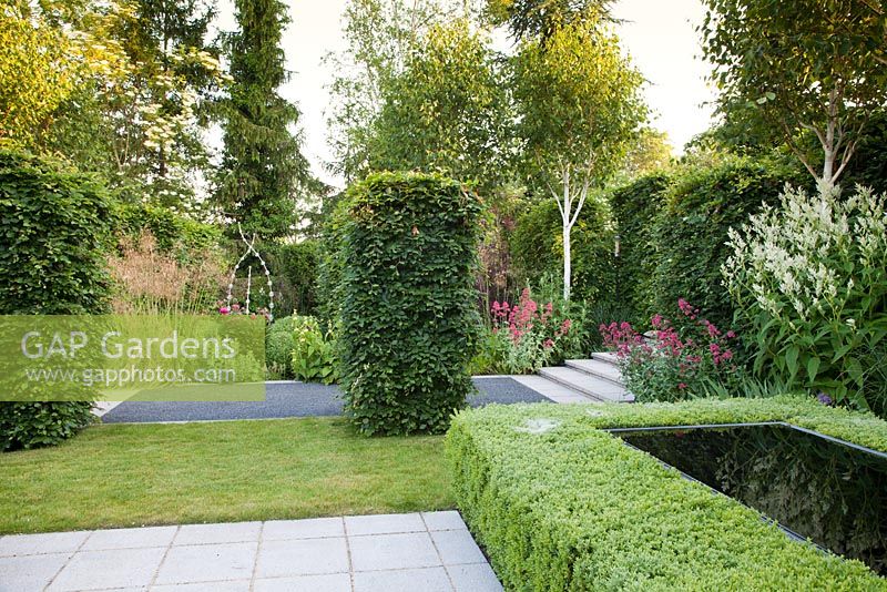 Clipped box hedge around Infinity pool with Astilbe, mature Beech columns, Stipa gigantea, Red Valerian and Silver Birch trees beyond
