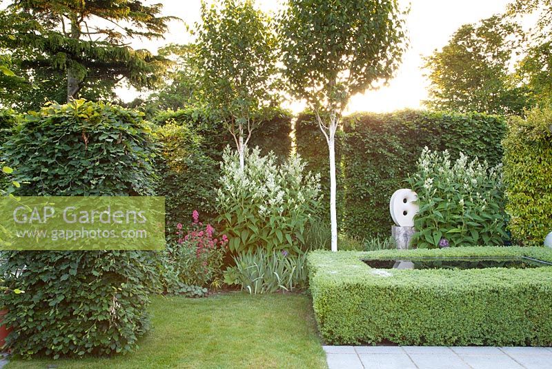 Clipped box hedge around Infinity pool with contemporary statue 'Untitled' by artist Will Spankie, white Astilbe, Red Valerian, Silver Birch and Beech hedging