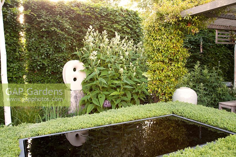 Clipped box hedge around reflective Infinity pool with contemporary statue 'Untitled' by artist Will Spankie and ceramic urn, white Astilbe and Beech hedging