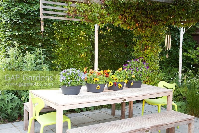 Wooden table with pots of colourful mixed Pansies