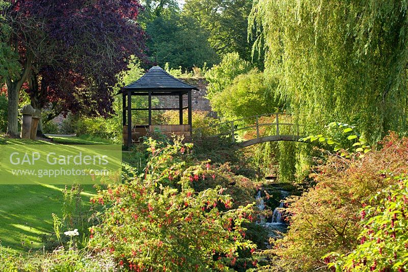 Walled garden, Cambo, Fife, Scotland, UK. Fuchsia by burn with arched bridge and pavilion