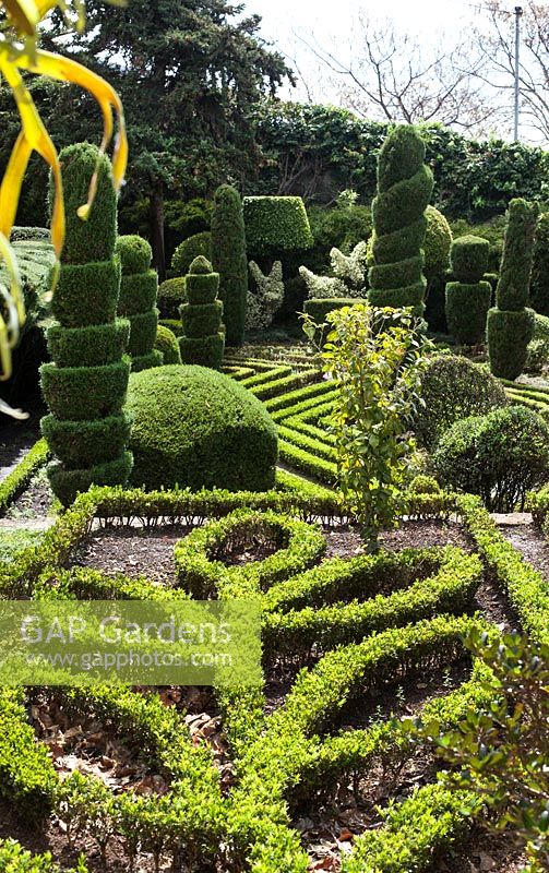 Topiary Garden in the Jardim Botanico in Funchal, Madeira
