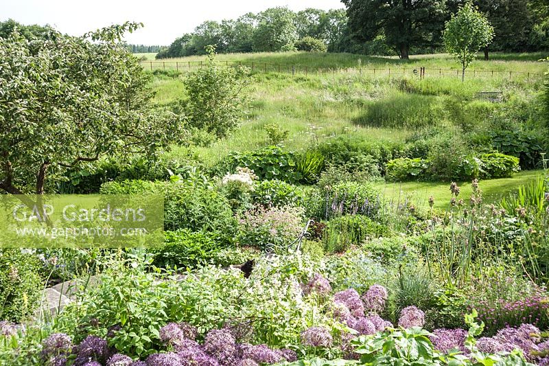 View from south facing terrace over the garden planted with Allium cristophii, to the Stansbatch Brook and orchid rich meadow beyond. Upper Tan House, Stansbatch, Herefordshire, UK