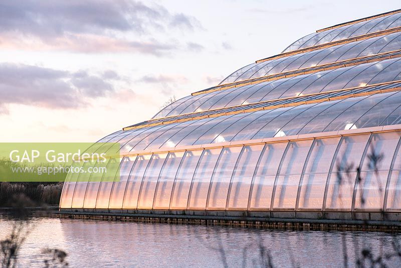 Modern cathedral like glasshouse, January, RHS Garden Wisley, Surrey 