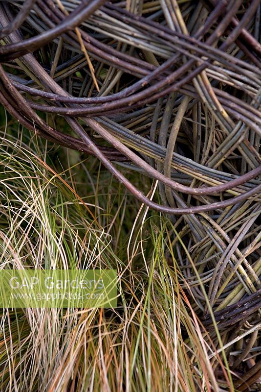 Sculptured willow and grass. The John Joseph Mechi Garden, Designer: Benjamin Wincott, Chelsea 2010

