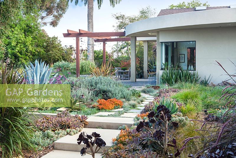 View across concrete path and mixed beds to modern house and outside eating area. Encinitas, California, USA. August.