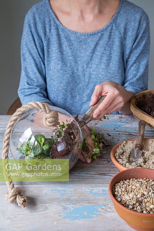 Add another layer of compost to the Terrarium
