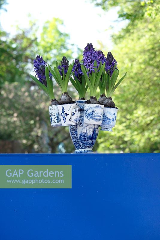 Combined vases and pots in Delfts Blue ceramics filled with blue Hyacinthus.
