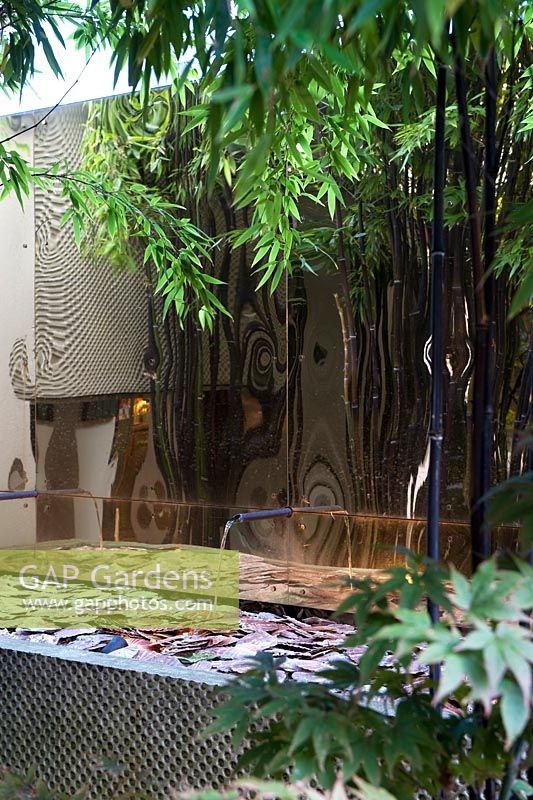 Black bamboo stems of Phyllostachys nigra and small acer growing in front of the patterned concrete-rendered low wall with water feature. Gold metal sheeting hung on back wall. 