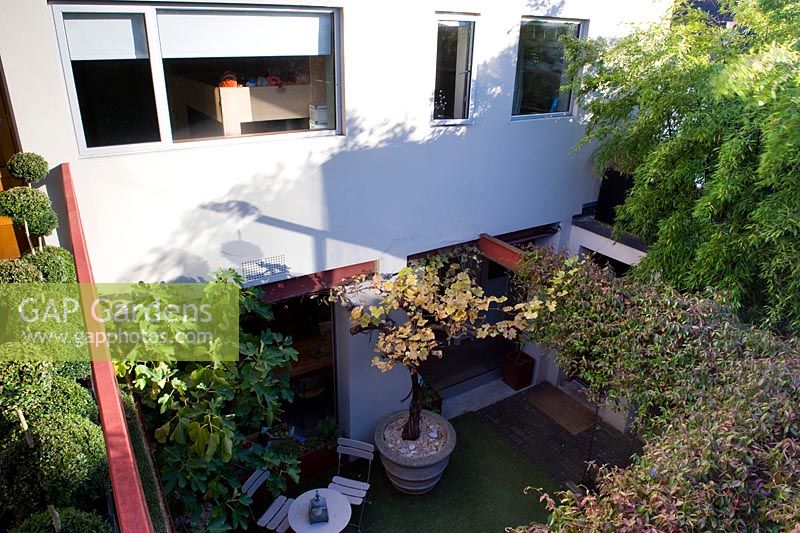 View down from rooftop into courtyard garden with cafe table and grape vine in a container, steel girder pergola with climbing plants crating shade, bamboo shading smooth rendered house wall. Home converted from disused factory.