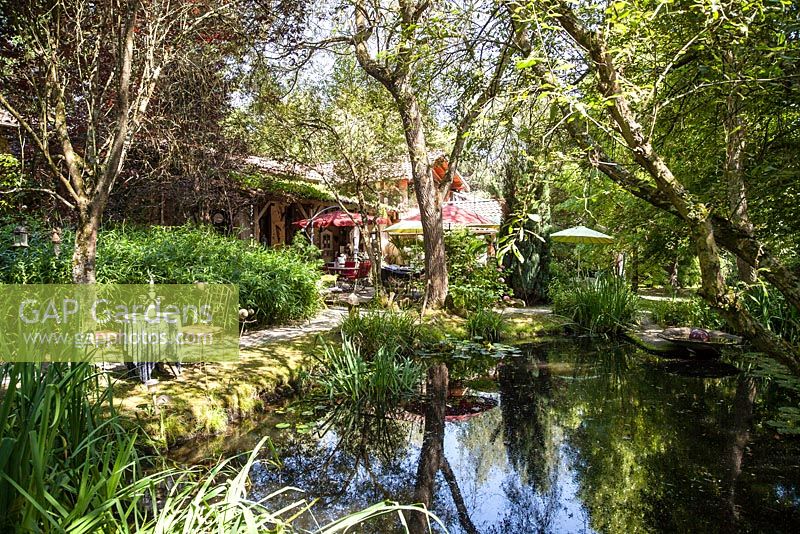 House, terrace with garden furniture, parasols and pond with waterside planting - July, Les Jardins de la Poterie Hillen