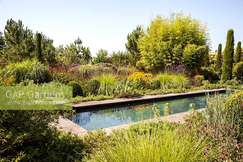 Modern pool surrounded by mediterranean style planting including grasses, pencil pine, Euphorbia characias and perennials - July, Les Jardins de la Poterie Hillen