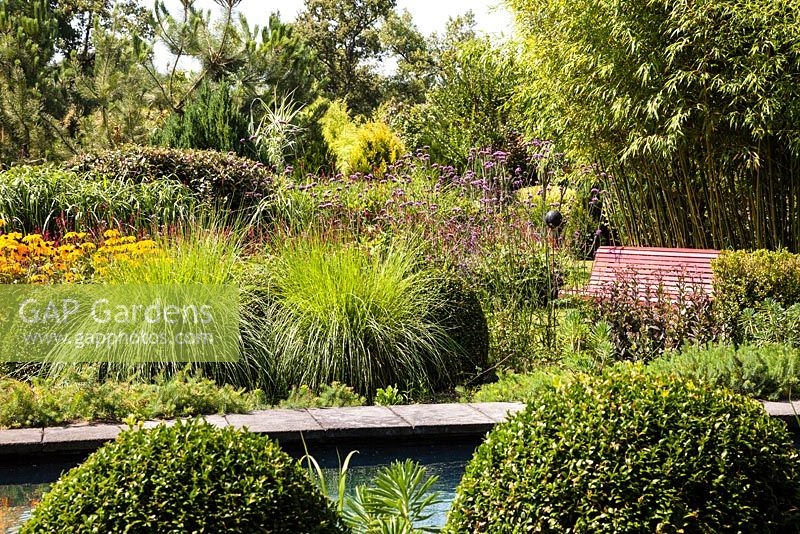 Formal pool surrounded by box balls, Pennisetum alopecuroides 'Hameln', perennials and a red bench under a Phyllostachys - July, Les Jardins de la Poterie Hillen