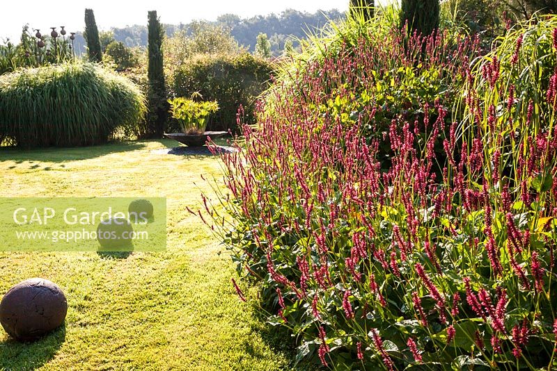 Lawn with stone balls leading to a bowl planted with Cyperus papyrifera and mixed border with grasses and Persicaria amplexicaulis - July, Les Jardins de la Poterie Hillen