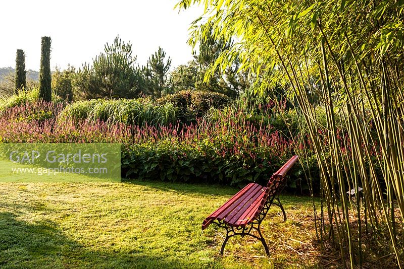Red bench, Phyllostachys and a mixed border planted with grasses, Persicaria amplexicaulis, Cupressus sempervirens - July, Les Jardins de la Poterie Hillen