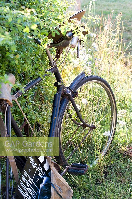 Old bicycle in garden. Hampton Court Flower Show 2014, the Flintknappers Garden, designer: Luke Heydon. 