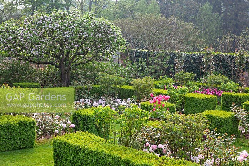 Pashley Manor Gardens, Kent, UK - Showing the walled garden