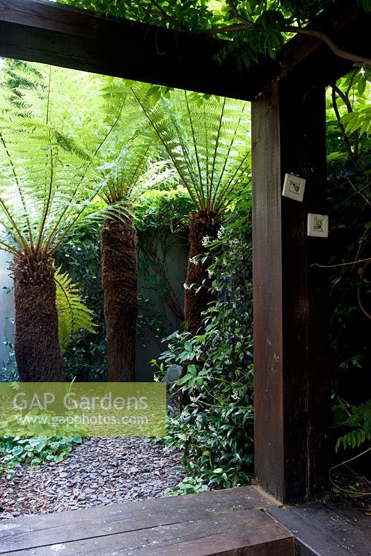 View through rail sleeper loggia to shady enclosed space with slate chip flooring and three tree ferns - Dicksonia antarctica. 