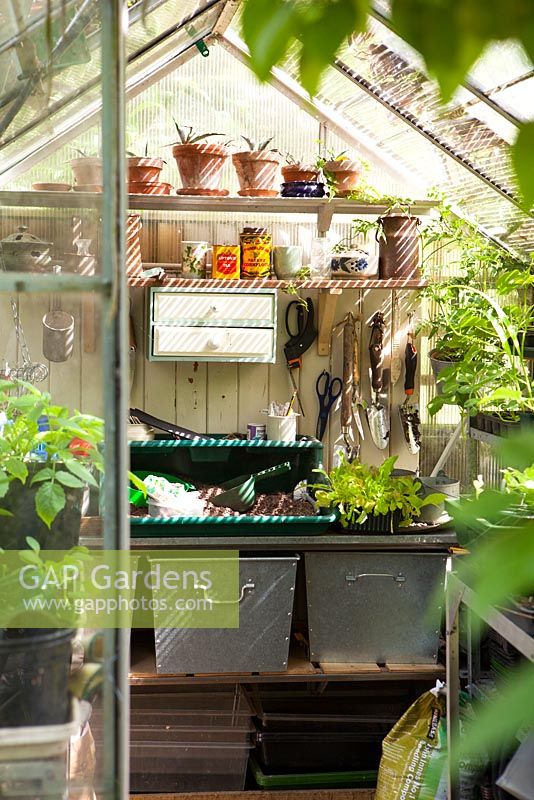 Interior of greenhouse with shelves, tools and pots