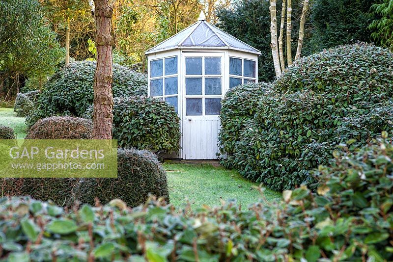 Summer house at Dip-on-the-Hill garden, January