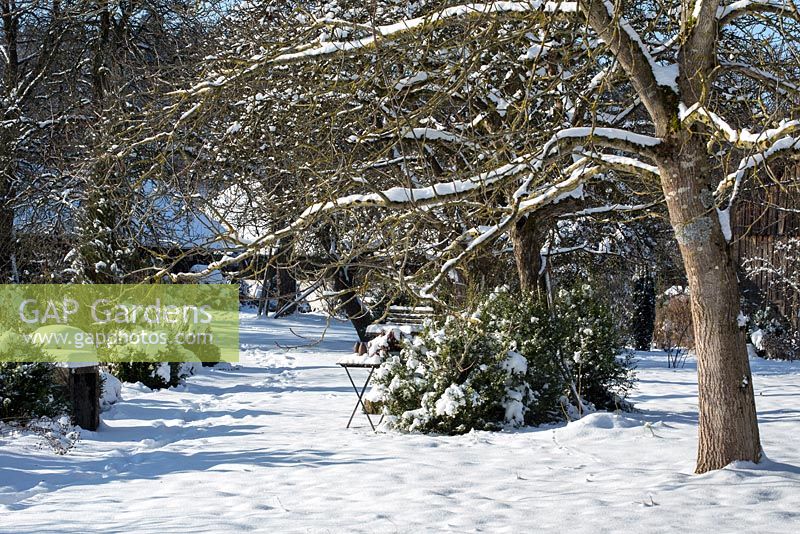 Winter scene in a rural garden with boxes, fruit trees and a wooden table