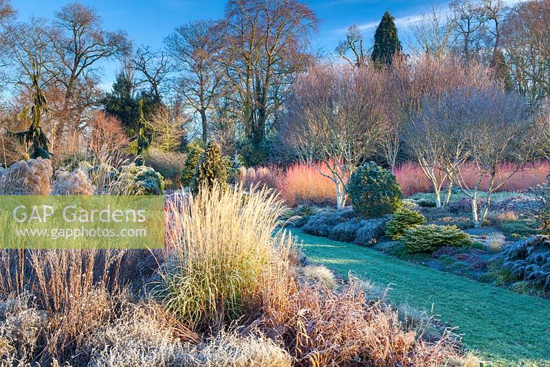 The Winter Garden, The Bressingham Gardens, January.