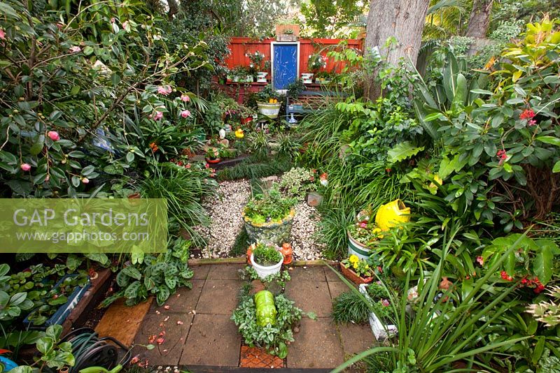 Inner city garden with lamium, mondo grass and various palms features colourful eclectic retro pieces sourced from local markets. 