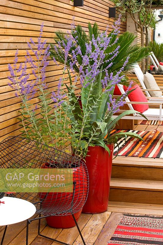 Brazilian hardwood decking with red containers planted with perovskia, agaves and a fern. Ben De Lisi House and Garden, London