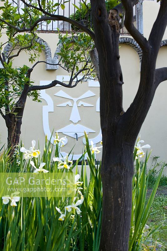 The lower garden with white iris and fountain of moustached Kitson in white on wall. Casa Cuseni in Taormina, Sicily, Italy 