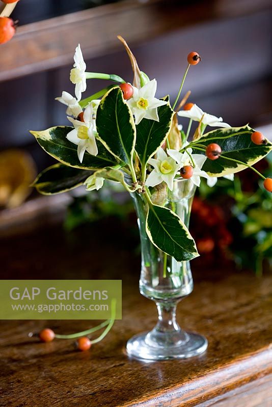 Sherry glass arrangement all british grown stems - berried holly, ilex aquifolium, sprigs of rosehips and scilly isles scented tazetta narcissi. Common Flower Farm, Somerset