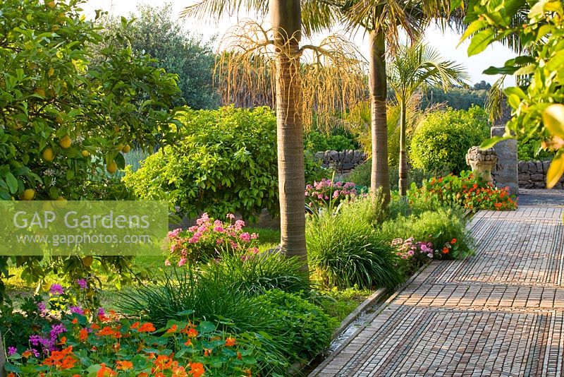 Rachel has infused the arabic garden with a delicious concotion of fruits, flowers and exotic palms. San Giuliano Estate. Sicily, Italy