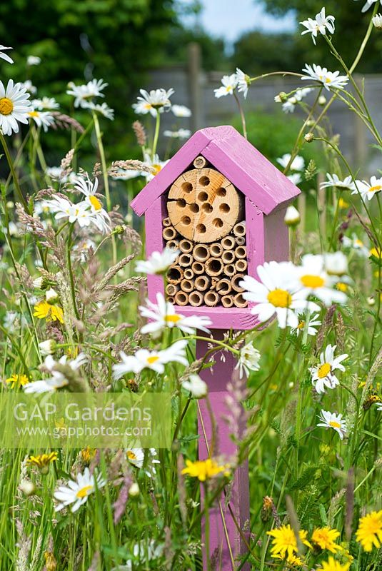Bug box situated in small wildflower area of garden, aimed at attracting pollinating red mason bees.