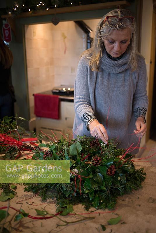Christmas wreath making workshop.  Lady completing a wreath featuring Hedera - Ivy, red sprayed fir cones, dried apples, Pinus - Christmas tree twigs, red twigs and Cinnamon sticks. December, St Francis Cottage