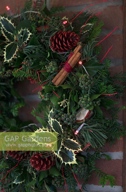 Christmas wreath making workshop. Wreath features Hedera - Ivy, Ilex - variegated Holly, red sprayed fir cones, dried apples, Pinus - Christmas tree twigs, red twigs, Cinnamon sticks and red fairy lights. December, St Francis Cottage
