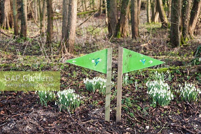 Sign to the snowdrop woods. Welford Park, Newbury, Berks, UK