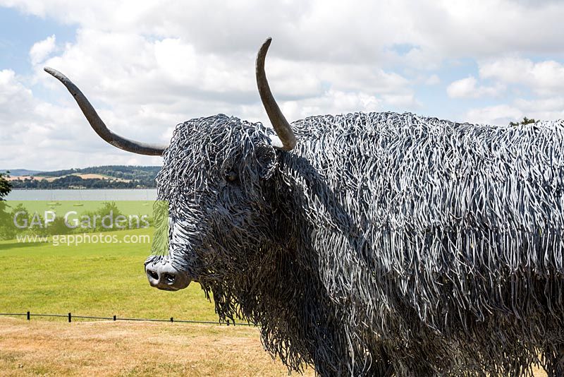 Highland bull sculpture by Paul Gilbert, blacksmith and sculptor

