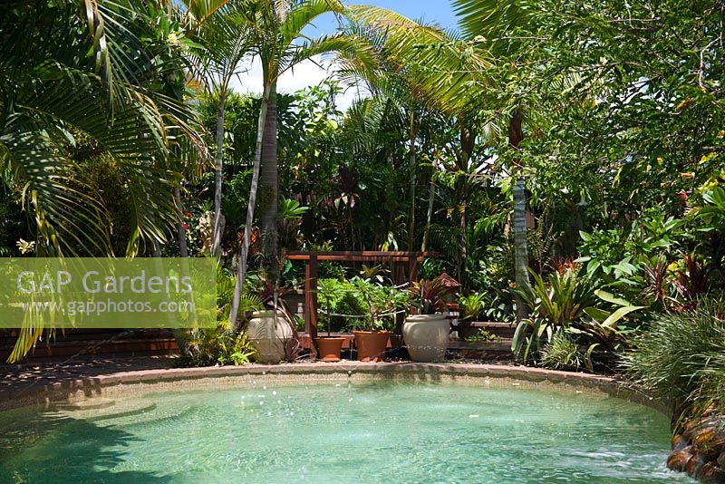 Swimming pool surrounded by palm trees and other shrubs with a collection of pots and a small timber bridge.