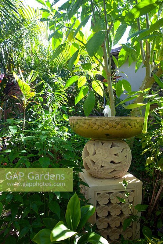A carved stone Balinese birdbath on a plinth with a frangipani motif in a shady garden.