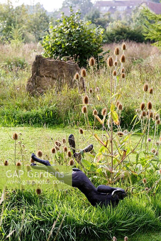 River Barn, Wiltshire. Teasel - Dipsacus fullonum and grasses in wildflower garden with bronze sculpture of hare